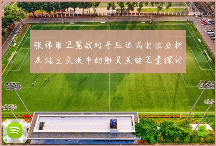 张伟丽卫冕战对手压迫式打法分析及站立交换中的胜负关键因素探讨